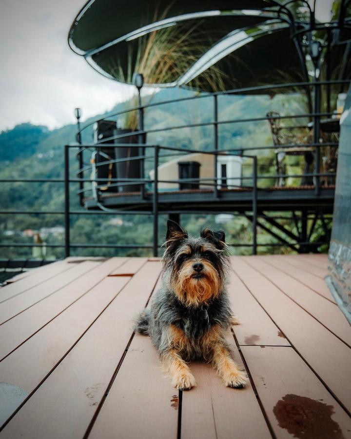 마니살레스 Chami Glamping 빌라 외부 사진