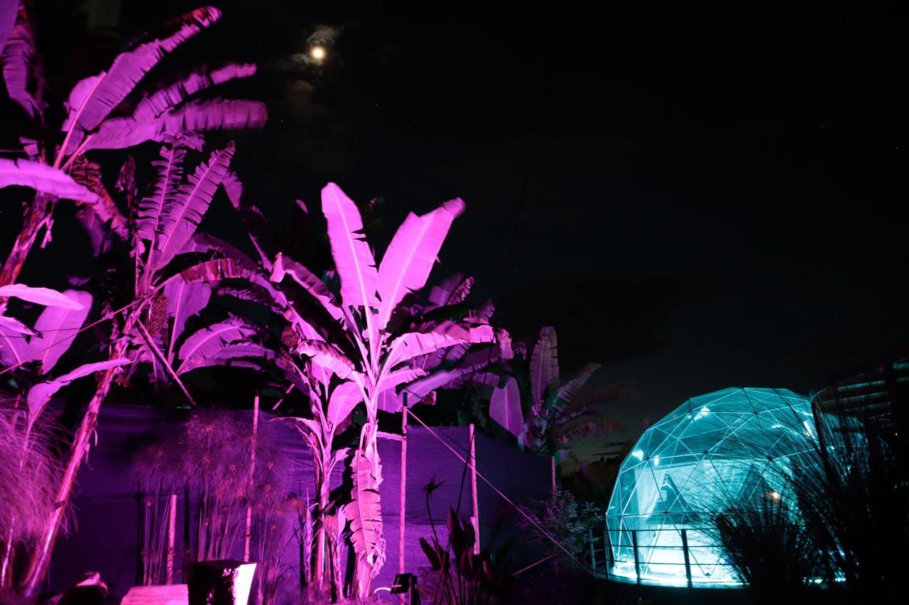 마니살레스 Chami Glamping 빌라 외부 사진
